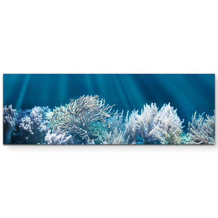 East Urban Home Leinwandbild Friedliche Unterwasserlandschaft mit